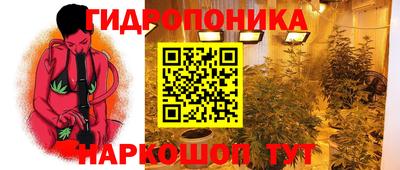 ECSTASY Чебоксары