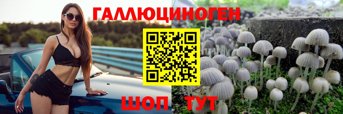 Псилоцибиновые грибы GOLDEN TEACHER  Вход с VPN  Ликино-Дулёво 