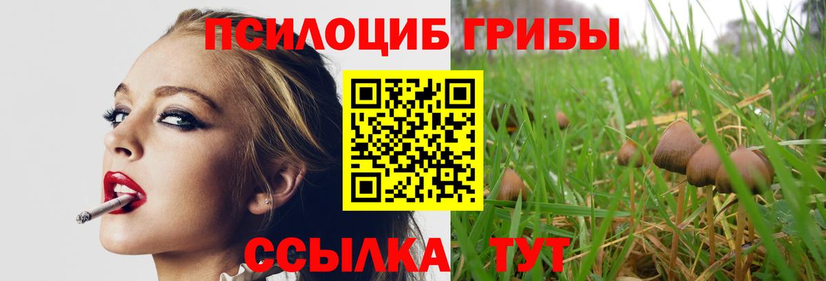 Псилоцибиновые грибы мицелий Ликино-Дулёво